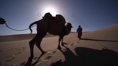 骆驼大篷车在沙漠中, 通过